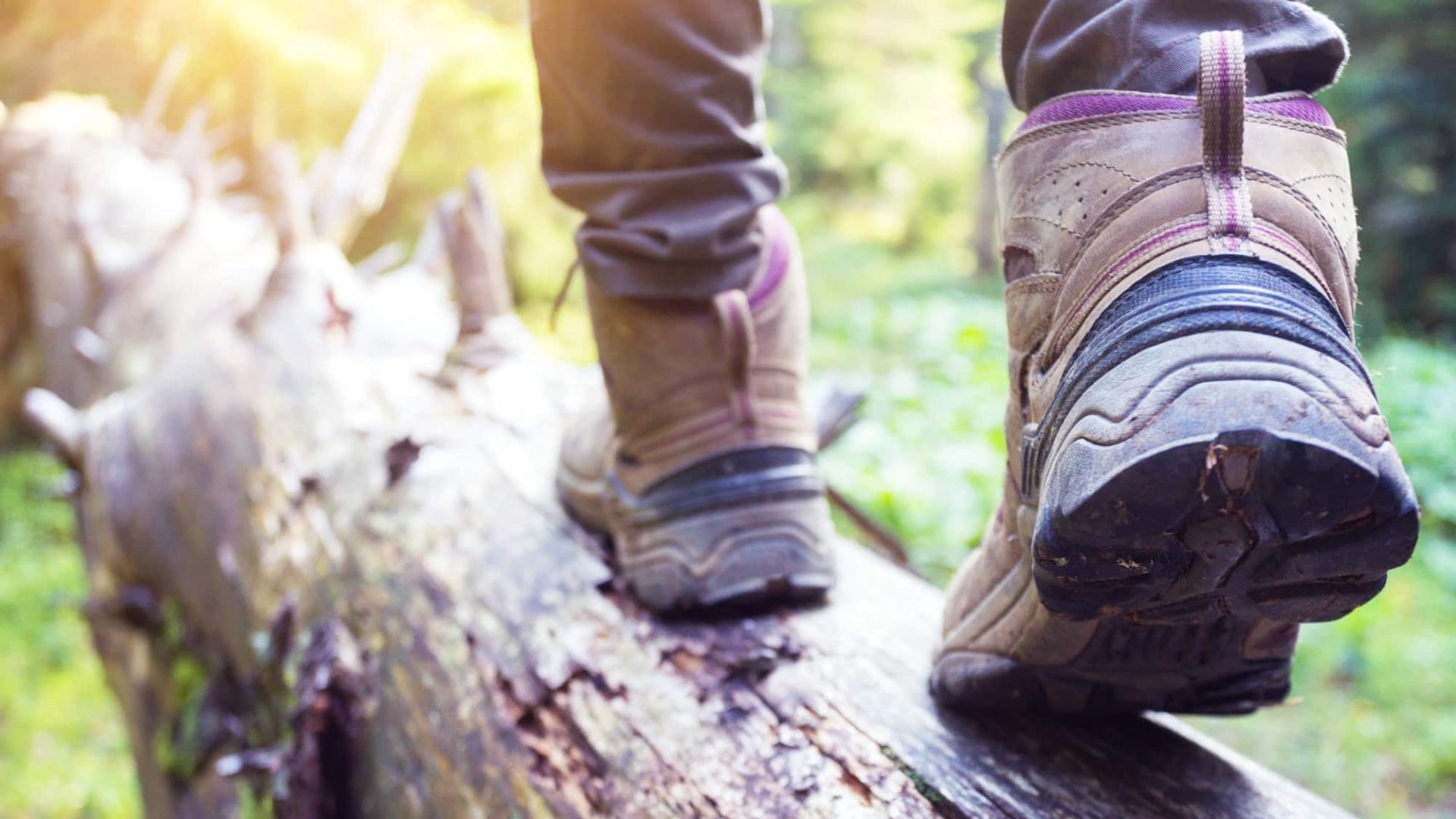 a hiking boots